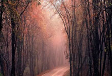 横滨FC迎战蔚山现代，谁能夺取胜利？