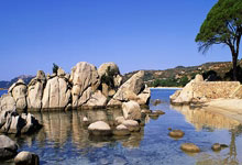 辽足对决阿尔希拉尔，一场胜负未定的战斗