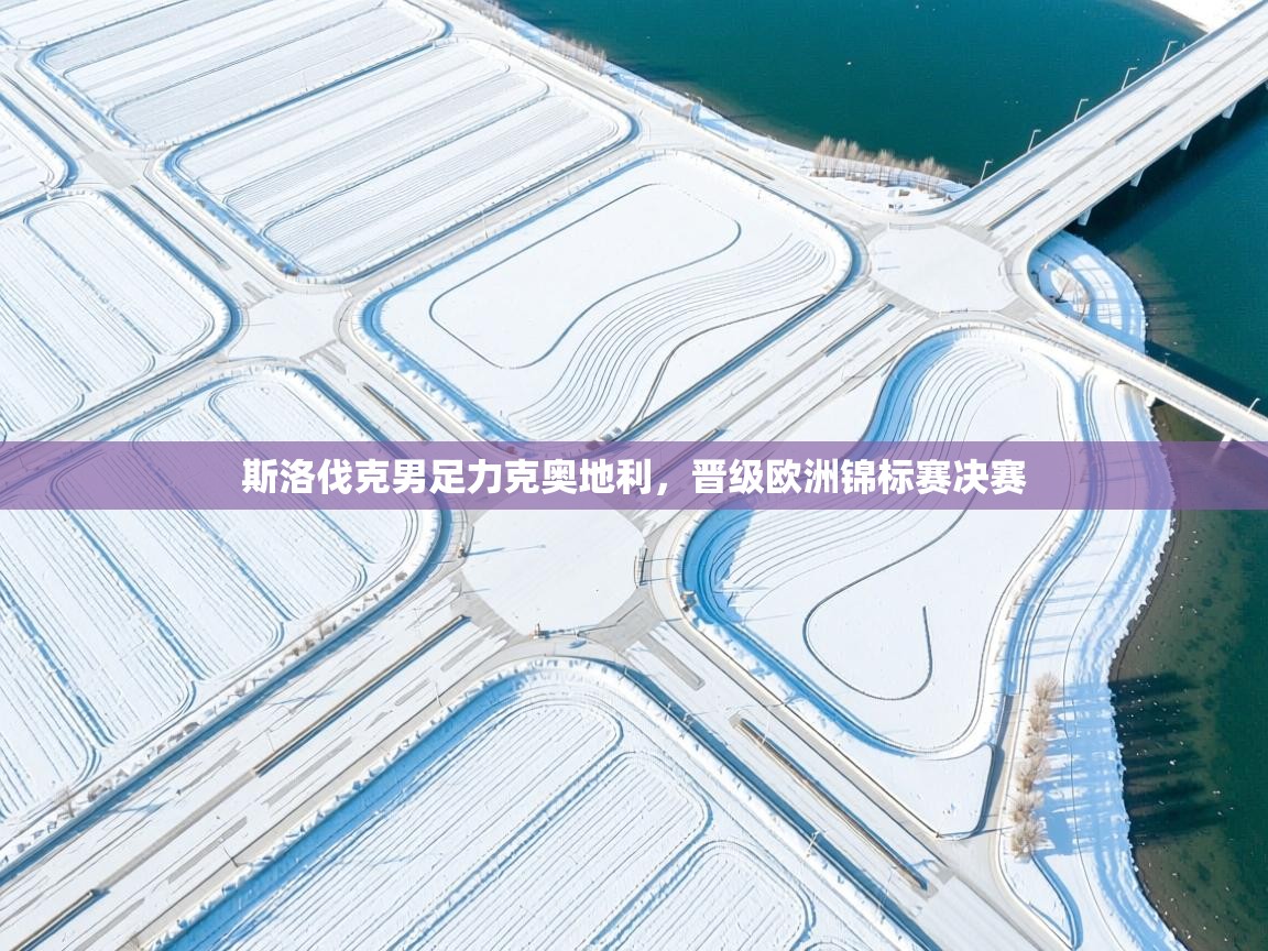 斯洛伐克男足力克奥地利，晋级欧洲锦标赛决赛  第1张