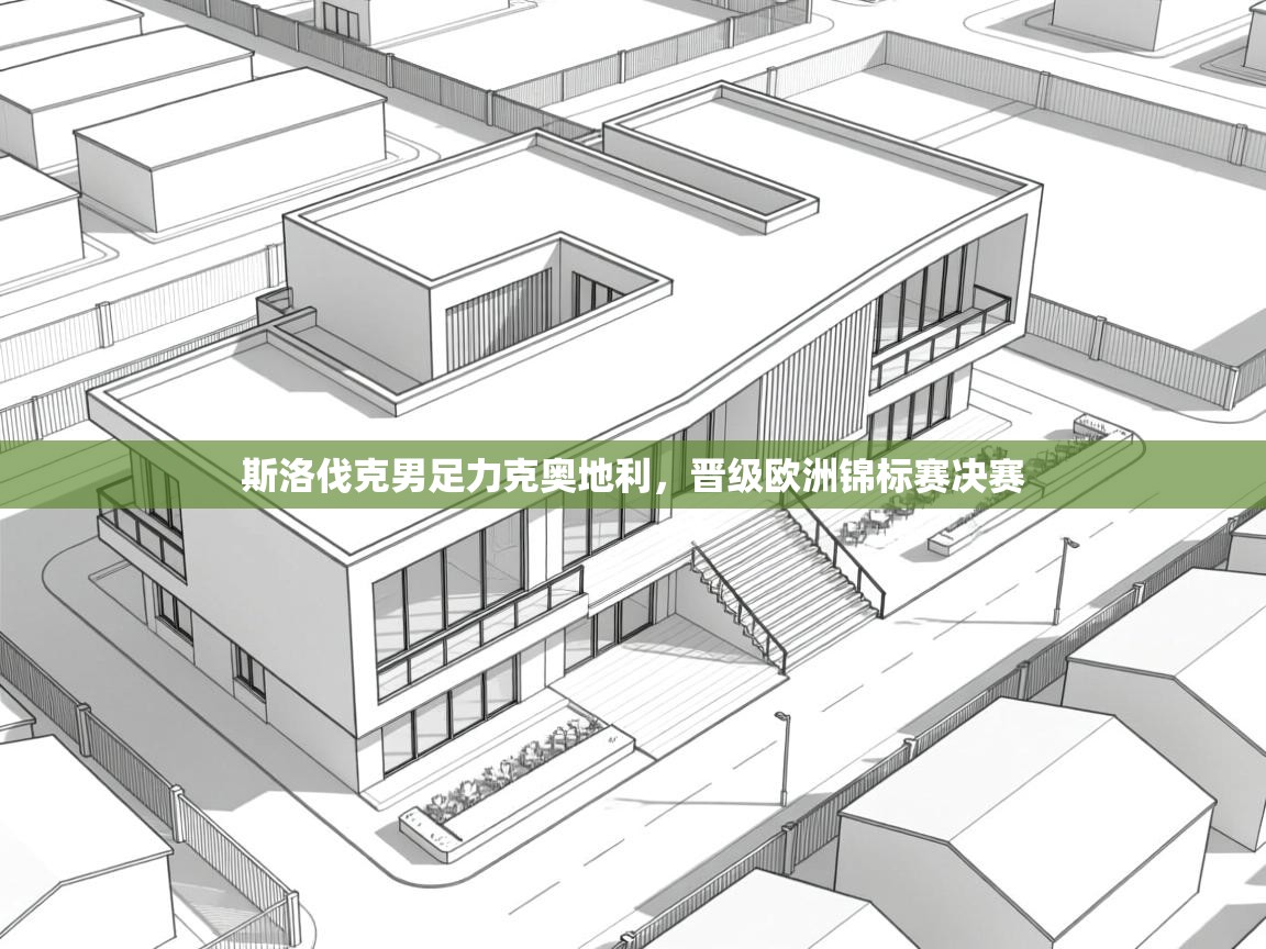 斯洛伐克男足力克奥地利，晋级欧洲锦标赛决赛  第2张