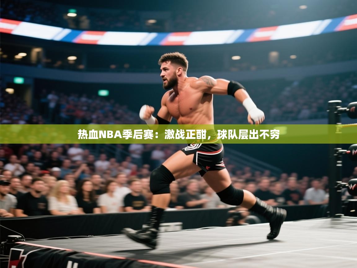热血NBA季后赛：激战正酣，球队层出不穷  第1张