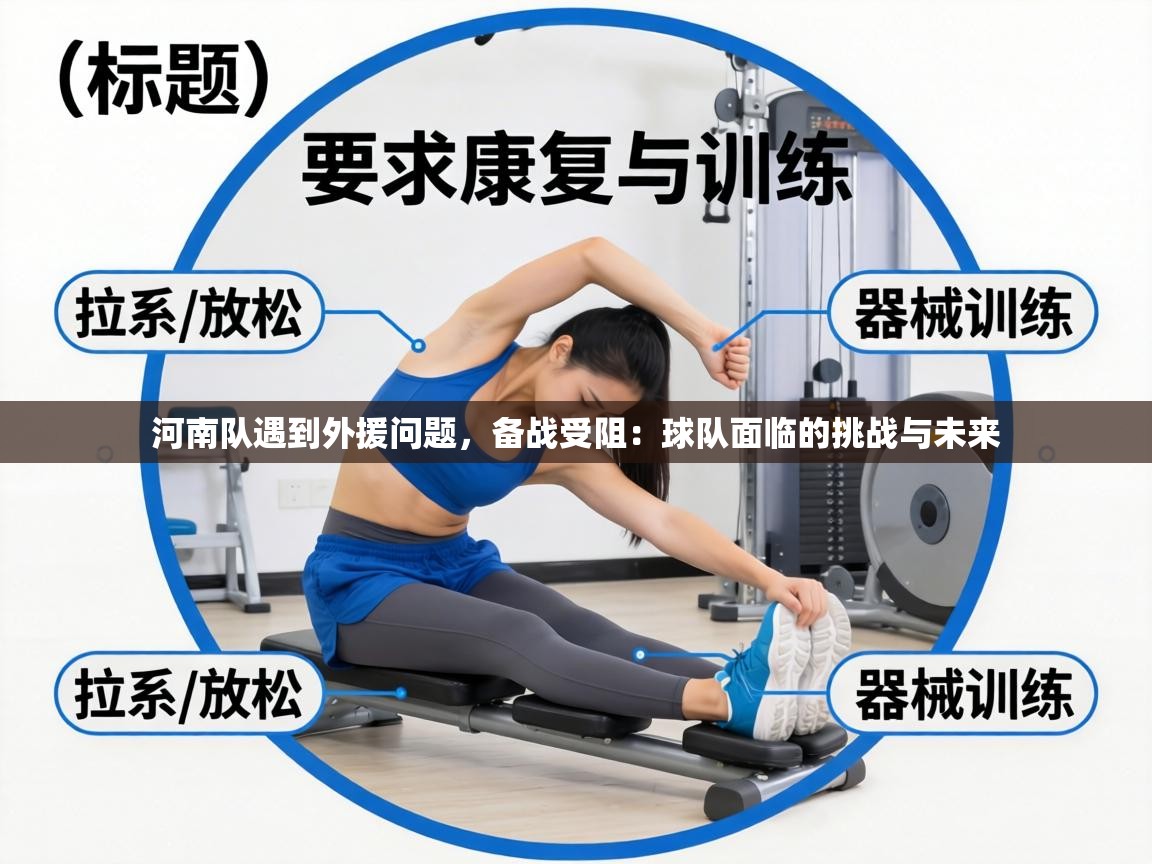 河南队遇到外援问题,备战受阻:球队面临的挑战与未来 第1张